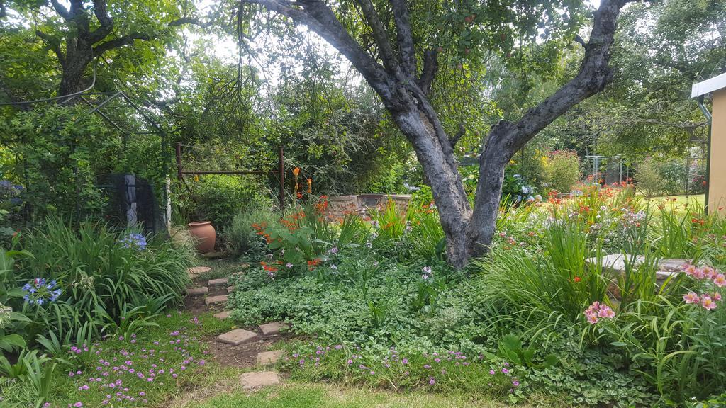 Cottage Suikerbekkie Dullstroom Luaran gambar